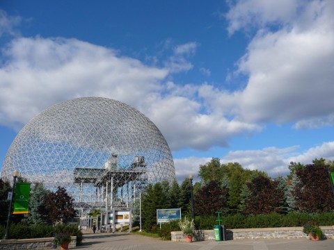 La biosphere sur l'île Saint Hélène